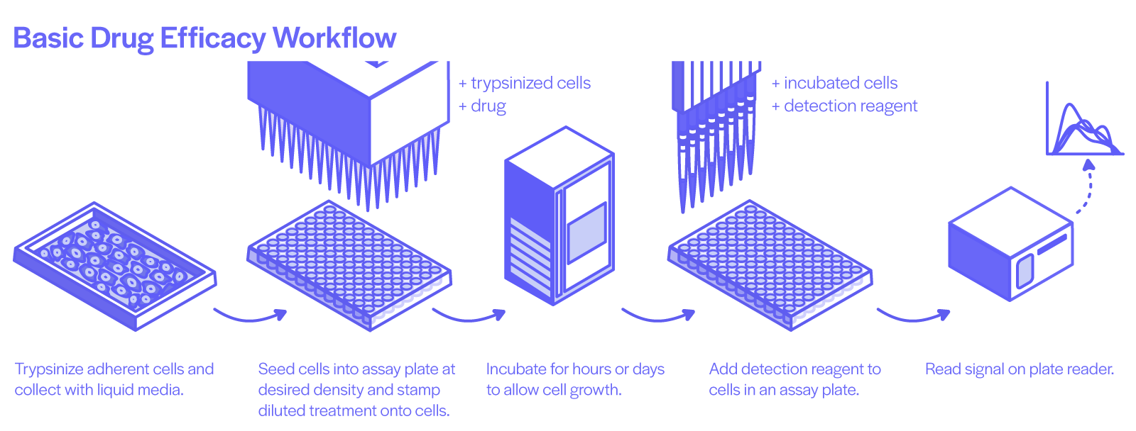 Common Automated Workflows
